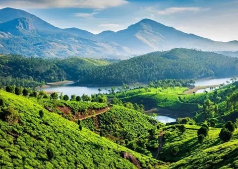 陕西在全国率先成立省级天然资源领域生态；ぷ菹蜃酆吓獬セ