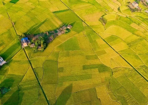 四川省启动永远根基农田储蓄区补充更新工作