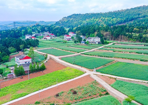 广元市奉杏装卫星田长”科技助力精准；じ