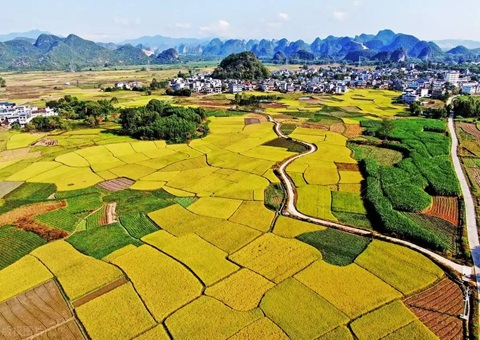 强化“指挥棒”作用&nbsp;&nbsp;柳州市发放500万元耕地；ぁ凹だ彀