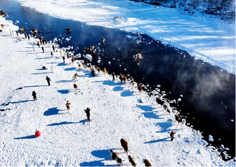 内蒙古“中国冷极”地理标志正式落成&nbsp;&nbsp;精准测绘赋能北疆生态安全与特色发展