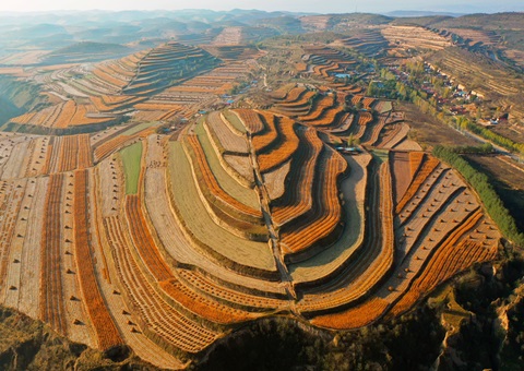 《宁夏回族自治区地皮征收治理法子》2025年11月1日起执行