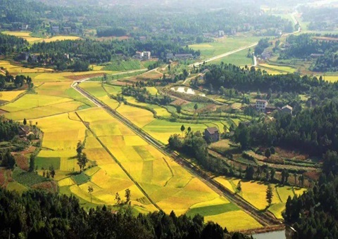 四川省广元市经开区多措并举盘活系统闲置地皮为发展注入新动能