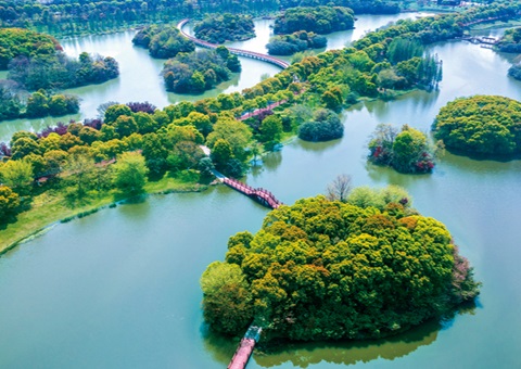 江西省湿地；ぢ室汛61.99%