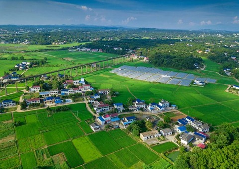 湖南：靶向发力盘活存量地皮资产<br>为206家机关企事业单元定造措置规划，盘活地皮2.6万亩