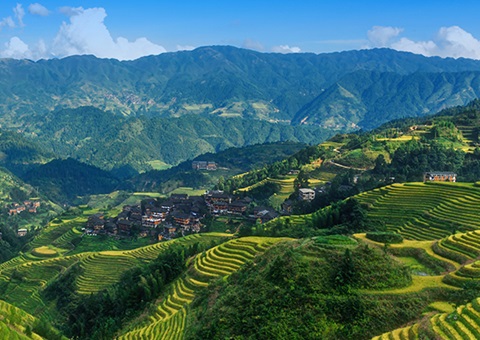 补助200万元！广西尝试林权登记财政资金激励