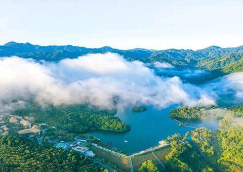 海南将沉点发展5类丛林康养基地