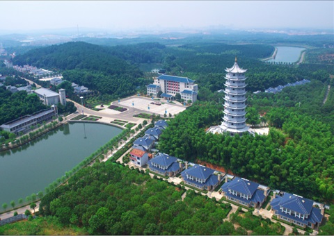 湖北：用好“一张图” ，智治有支持