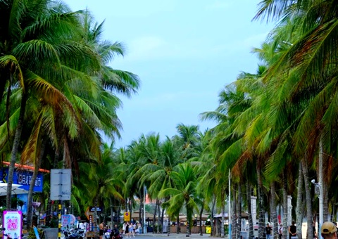 建“清冷城视妆，海南有何“凉方”?