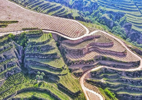 兰州索求林业生态价值转化新模式