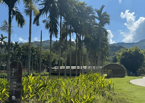 海南索求村庄规划赋能： 用产业“串”起和美村落“幸福链”