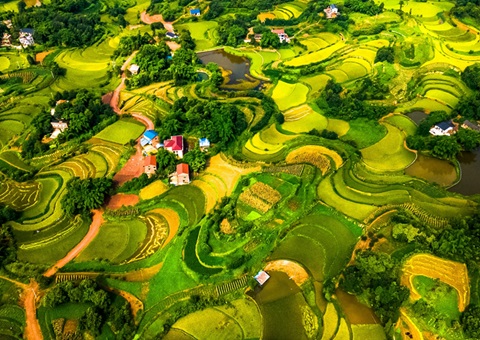 @农夫伴侣 2025年沉庆市耕地地力；げ怪婊戳