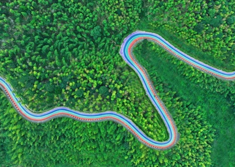 组合供给出新招，竹海收益节节高——桃江县“桃花江竹海”天然资源资产组合供给推动生态产品价值实现案例