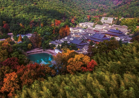 浙江：丛林公园生态游览若何高质量发展？