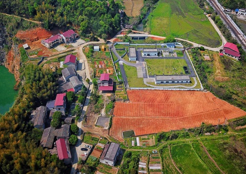 株洲：“三链联动”推动耕地耕作层剥离再利用